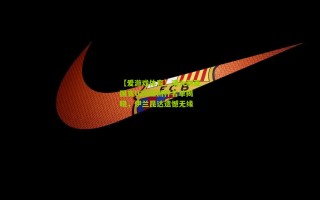 【爱游戏体育】澳大利亚国青U20亚洲杯名单揭晓，伊兰昆达遗憾无缘