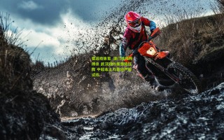 爱游戏体育_津门虎残阵搏杀 武汉四外援强势压阵 中超本土力量迎严峻试炼